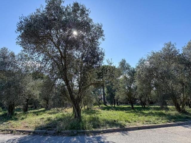 Terreno en venta en Collbató photo 0