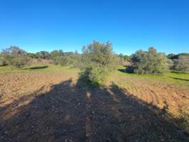 Terreno en venta en Villablanca, Villablanca photo 0