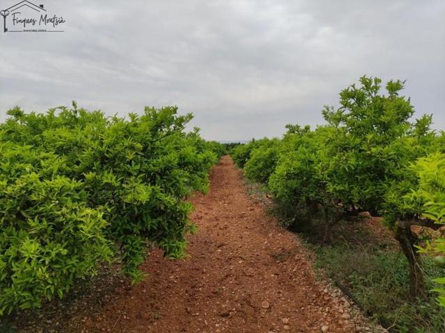 Chalet en venta en Vinaròs, Vistabella - Closa de Vinaros photo 0