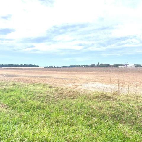 Terreno en venta en Sanlúcar de Barrameda, Caňada del Amarguillo, 11540 photo 0