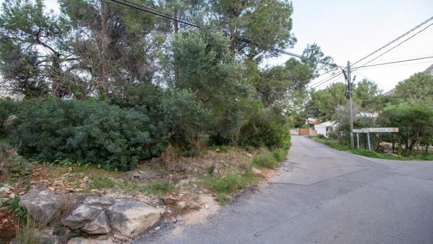 Parcela en venta en Denia, MON MITAD photo 0