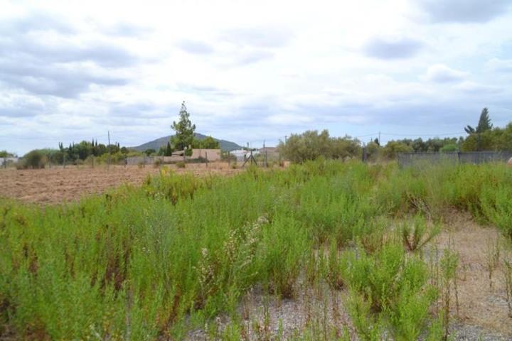 Chalet en venta en Campanet, Campanet photo 0