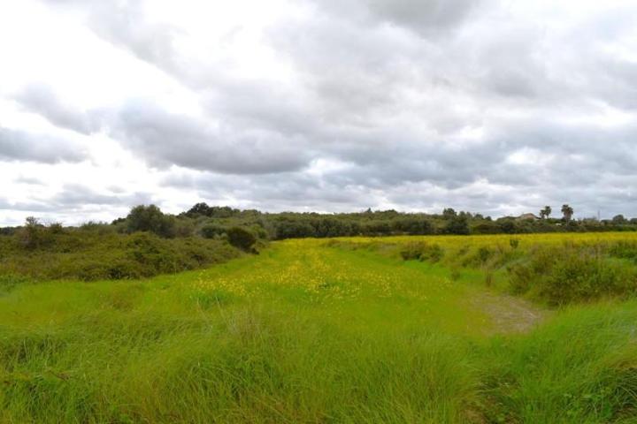 Chalet en venta en Muro, Muro photo 0