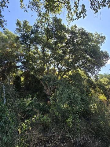 Terreno en venta en Cádiz, Cádiz photo 0