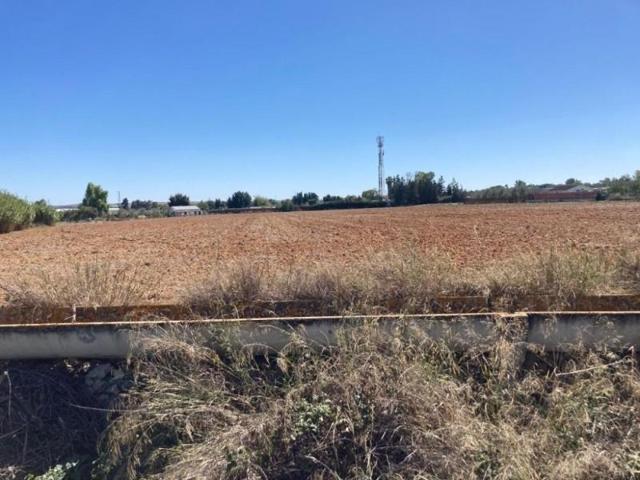 Terreno en venta en Jerez de la Frontera, Jerez photo 0