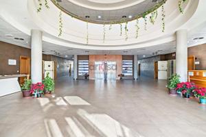 Oficina en alquiler en El Ejido, Santo domingo photo 0