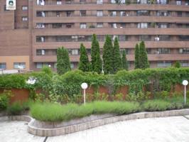 Oficina en alquiler en Valladolid, Paseo Zorrilla photo 0