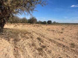 Terreno en venta en Jorquera, Jorquera photo 0