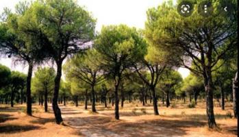 Terreno en venta en La Roda, San Isidro photo 0