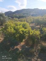 Chalet en venta en Alhabia, Alhabia photo 0