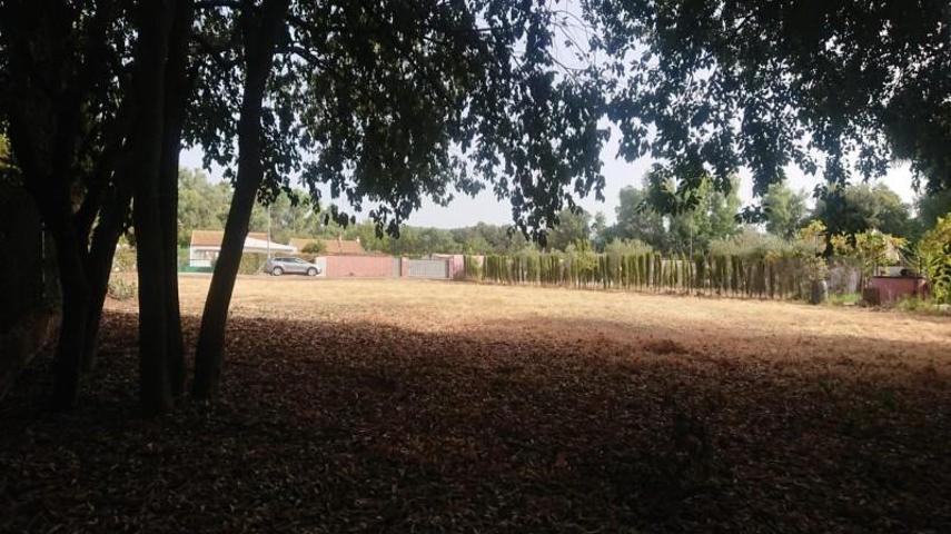 Parcela en venta en Almodóvar del Río, Andalucia photo 0
