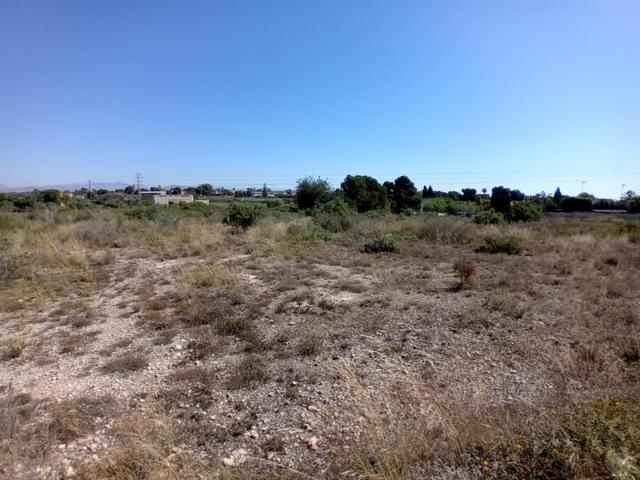 Terreno en venta en Elche, Valverde photo 0
