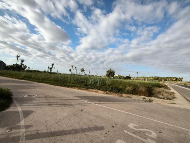 Terreno en venta en Elche, Daimes photo 0