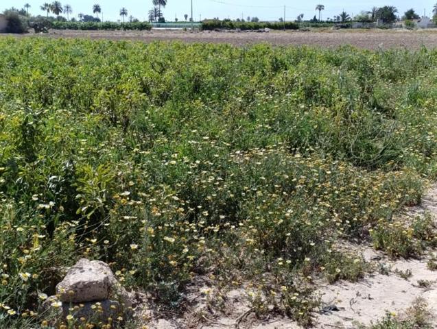 Terreno en venta en Elche, Derramador photo 0