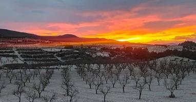 Casa con terreno en venta en La Zarza photo 0
