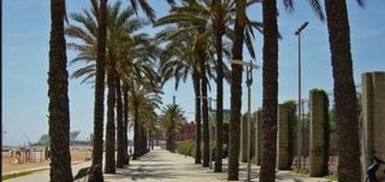 Terreno en venta en Sant Adrià de Besòs, Alcampo photo 0