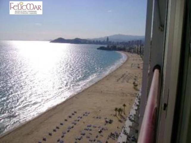 Apartamento en alquiler en Benidorm, 1ª Linea photo 0