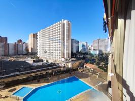 Estudio en alquiler en Benidorm photo 0