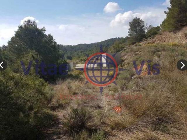 Parcela en venta en Lorca photo 0
