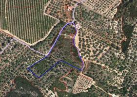 Terreno en venta en Freginals, Cataluña photo 0