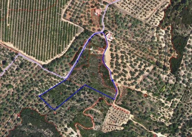 Terreno en venta en Freginals, Cataluña photo 0