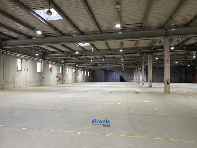 Nave industrial en alquiler en Massanes, Massanes photo 0