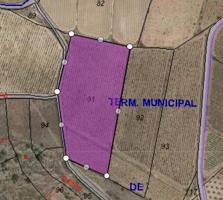 Parcela en venta en Pinoso, Comunidad valenciana photo 0