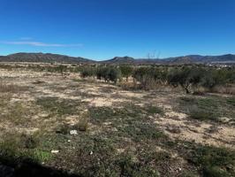 Terreno en venta en Monovar-Monover, 03640 photo 0