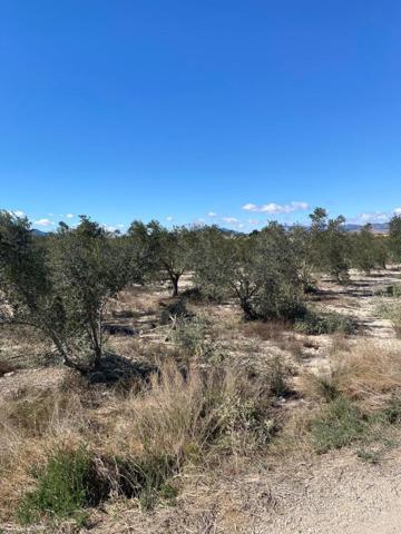 Parcela en venta en Monforte del Cid, Cerca de la autovia photo 0