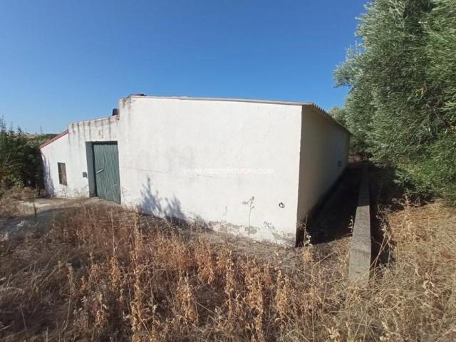 Chalet en venta en Talavera de la Reina, Talavera De La Reina photo 0