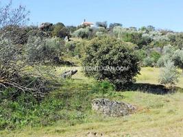 Chalet en venta en San Martín de Pusa, San Martin De Pusa photo 0