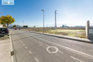 Parcela en venta en Belicena, Vega de granada zona noroeste photo 0