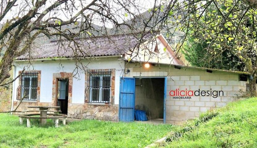 Casa en venta en Oviedo, Las Caldas photo 0