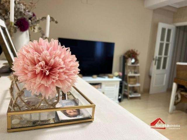 Piso en venta en Córdoba, Barrio del Naranjo photo 0