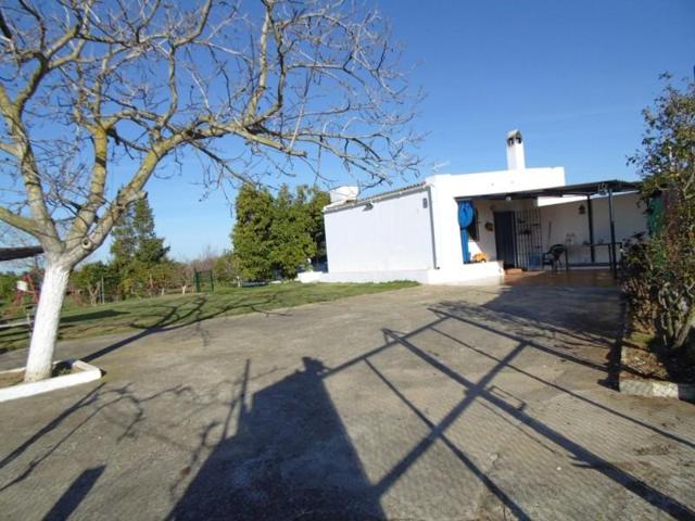 Casa en venta en Aznalcázar, Entrada aznalcazar photo 0