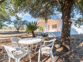 Casa con terreno en venta en Villalonga photo 0