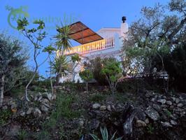 Chalet en venta en Comares photo 0