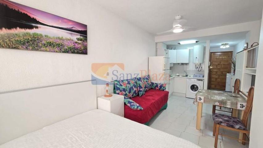 Estudio en alquiler en Torrevieja, Centro photo 0