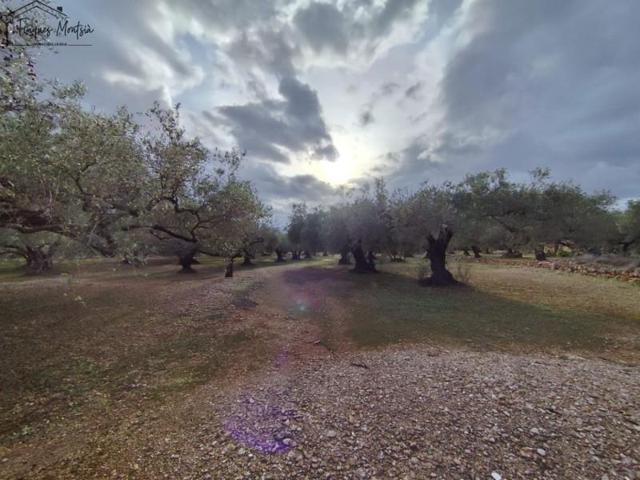 Chalet en venta en Camarles, Camarles photo 0