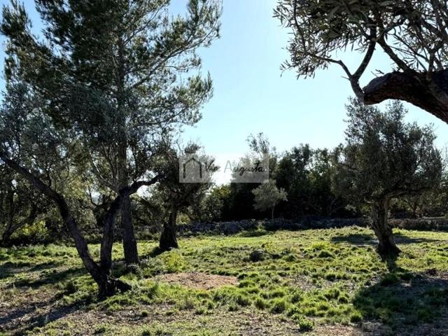Terreno en venta en L'Ametlla de Mar, Arrivesando, 43860 photo 0