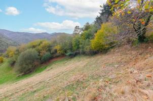 Casa en venta en Piloña, Picos de europa photo 0