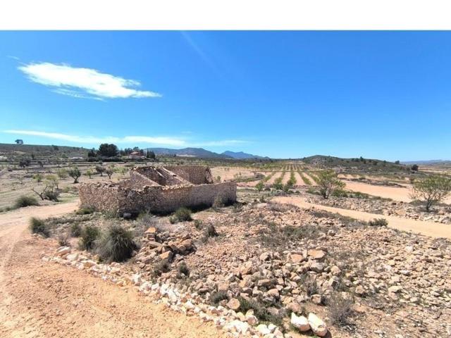 Chalet en venta en Pinoso, Comunidad valenciana photo 0