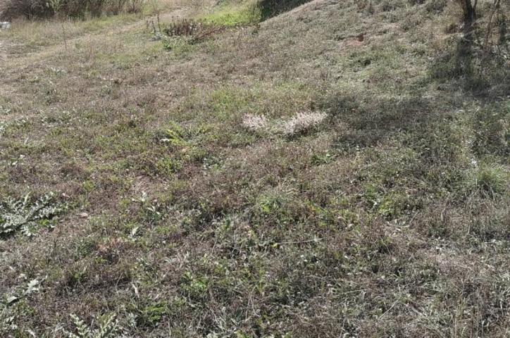 Terreno en venta en Fuentealbilla, FUENTEALBILLA photo 0