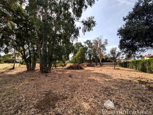 Terreno en venta en Linares, Casualidad, 23700 photo 0