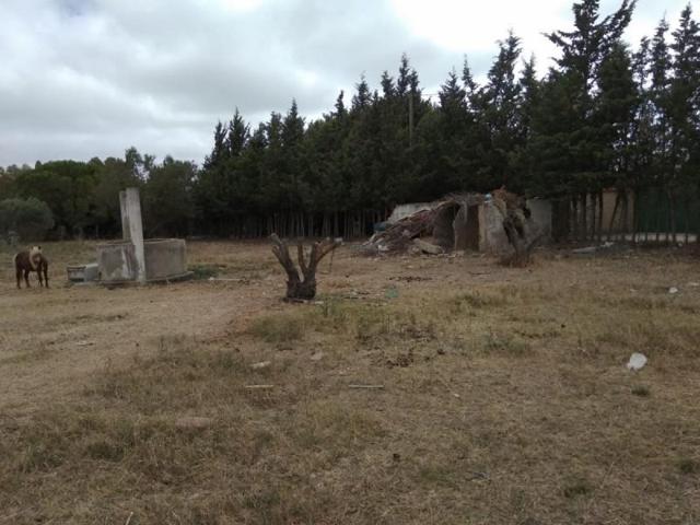 Parcela en venta en Puerto Real, Casines photo 0