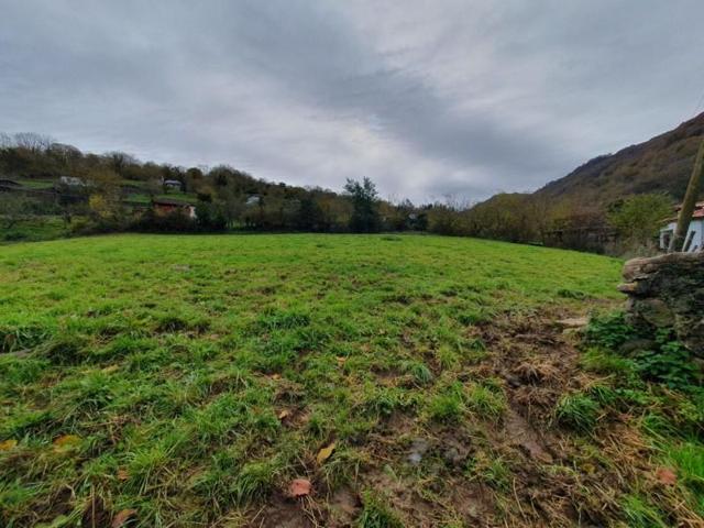 Terreno en venta en Grado, Grado photo 0