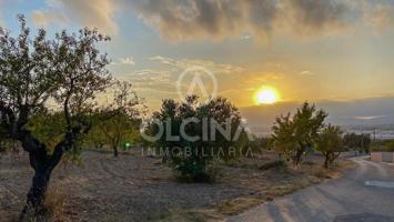 Terreno en venta en Ibi, Els Plans photo 0