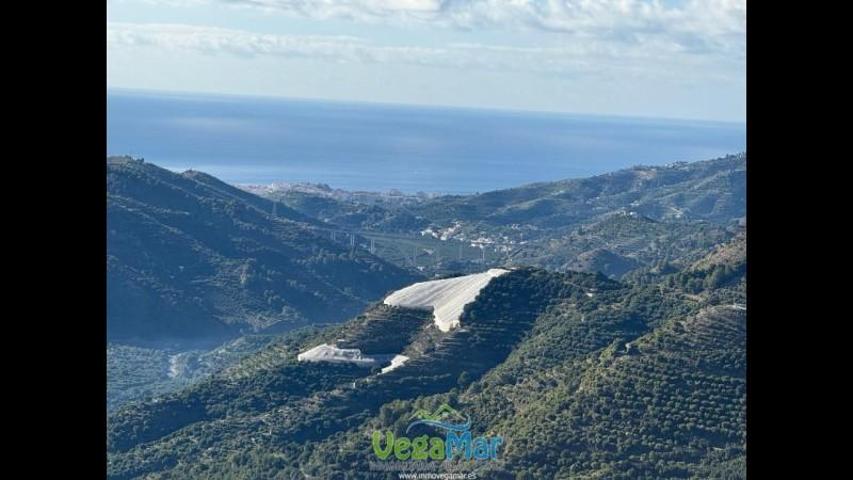 Casa con terreno en venta en Jete, Las Alberquillas, 18699 photo 0