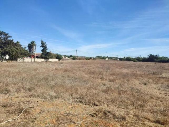 Parcela en venta en Chiclana de la Frontera, Los Gallos - La Coquina photo 0