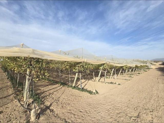 Chalet en venta en Monforte del Cid, Comunidad valenciana photo 0